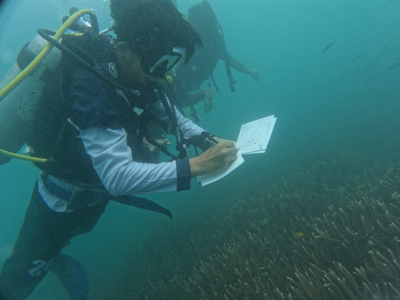 Gandeng PT Mifa Bersaudara dan PDC Abdya, UKM SDC UTU Gelar Monitoring Daerah Konservasi Karang di Pulau Gosong