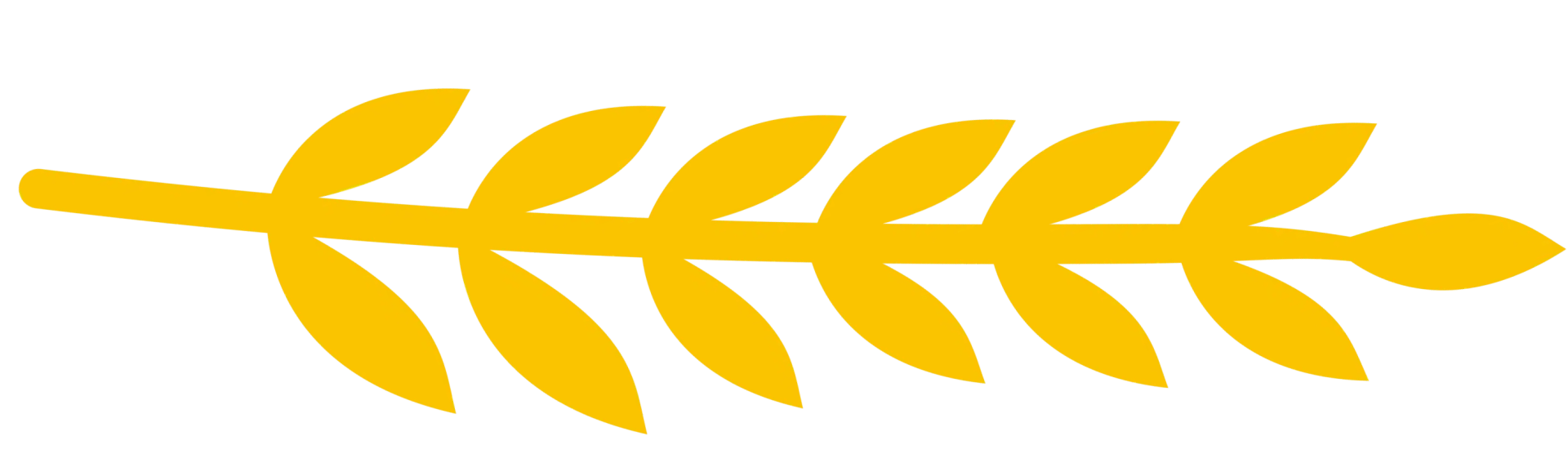 Aksen Padi 2